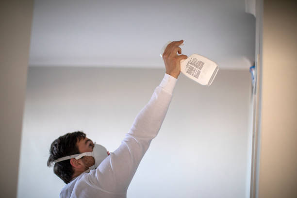 Best Basement Mold Remediation in Red Bank, SC
